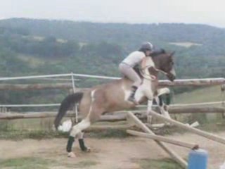 Obstacle galop quatre