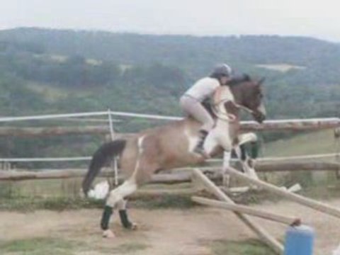 Obstacle galop quatre