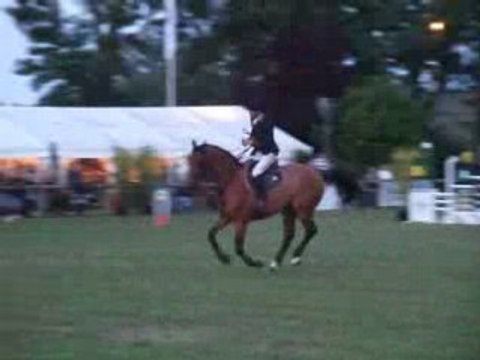 Puissance CSI Mantes la Jolie Hurel