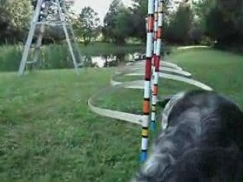Agility maison