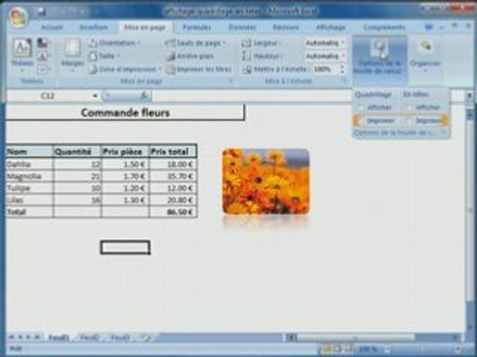 Affichage du quadrillage et en-têtes sous Excel 2007