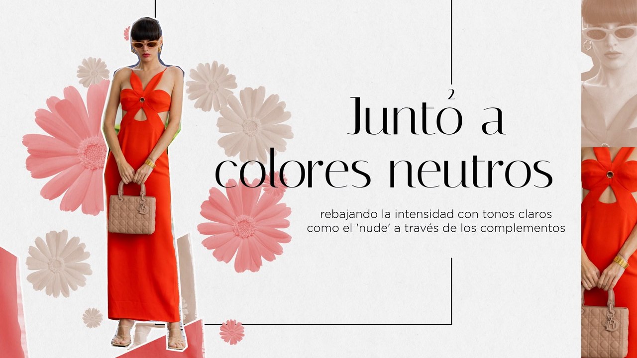 Ranking Fashion Vitamina