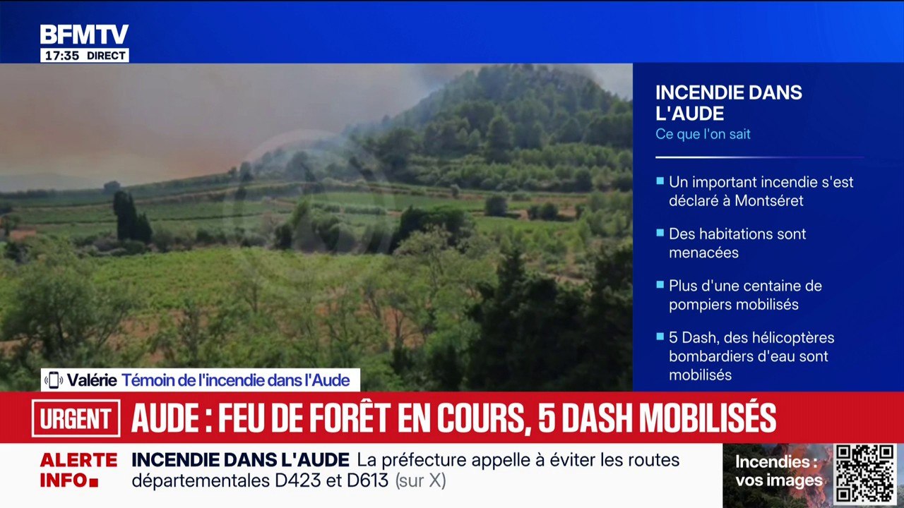 Un incendie s'est déclaré dans l'Aude: cinq Dash et une centaine de pompiers mobilisés