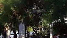 Wakacje w hotelu Okaliptus, Bodrum, Turcja