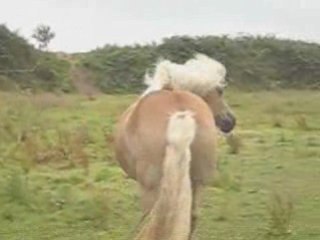 Kandie dans tous ses états...