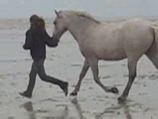 iloon en liberté à la plage