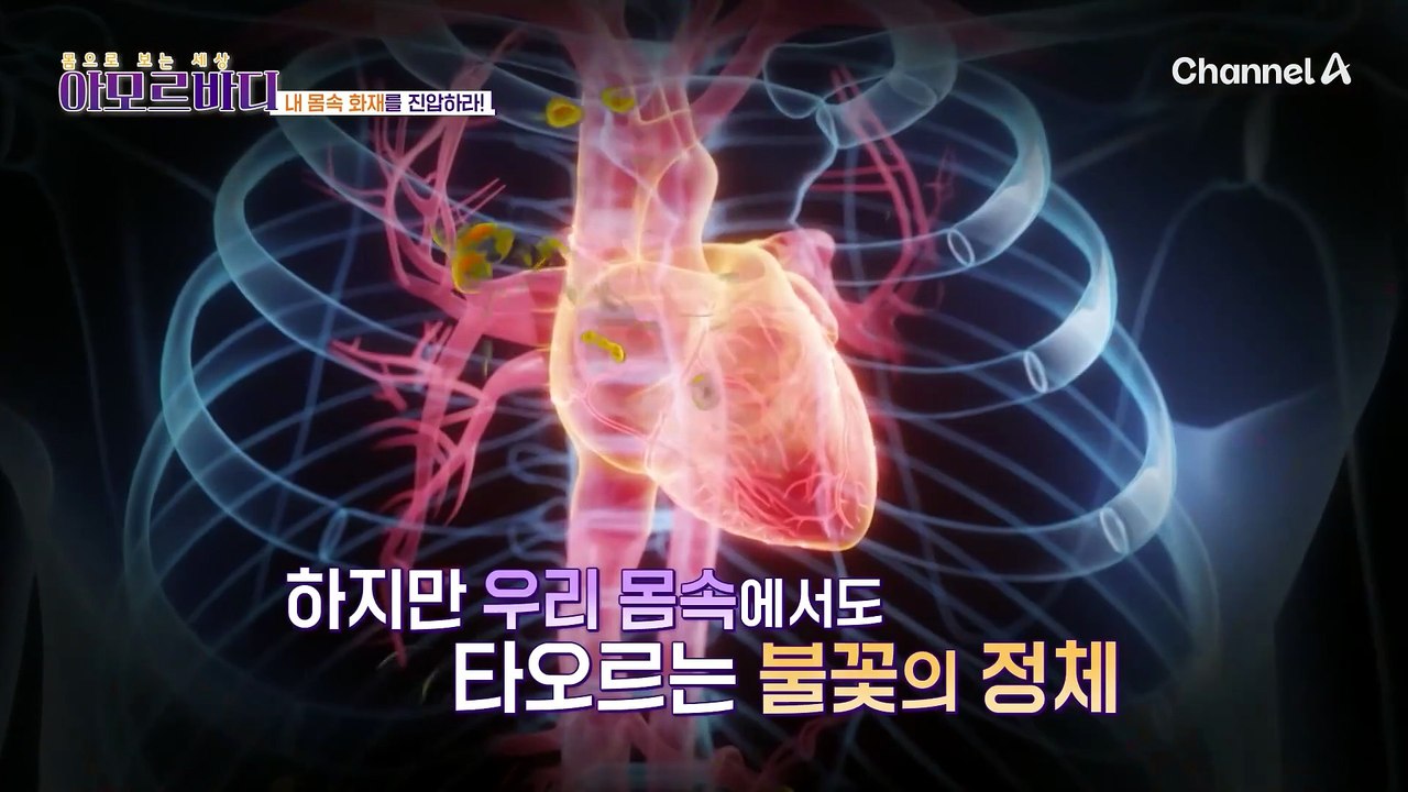 건강을 통째로 무너뜨리는 만성 염증! 내 몸속 화재를 진압하라!