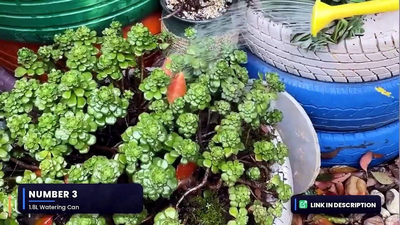 Top 5 Best Watering Cans 2026 - Affordable Solutions for Every Gardener
