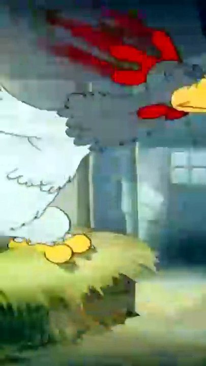 Mother Hen Protects Jerry | Tom & Jerry Funny C...