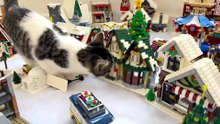 ¡Un gatito destruye todo un pueblo LEGO!
