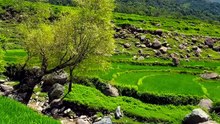 Pakistan Natural Beauty 🤩😍