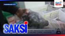 Halos 2 tonelada ng smuggled umano na karne ng manok galing China, nasabat | Saksi