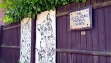 Local cattery on the brink of closure after rising bet bills