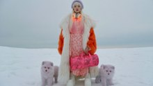 Snowfield Fashion