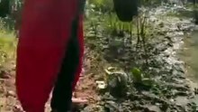 Rituel d'amour  puissant marabout medium du bénin