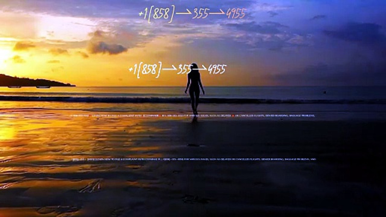 4955_!!!_Complete™ List of CoinbaseⓃ CUSTOMER© Care℗ (Toll Free Number Support) Numbers A Complete Guide