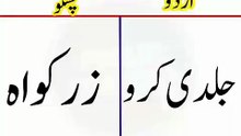 Learn Pashto into Urdu language | lesson # 51