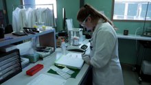 New errors uncovered at Queensland’s troubled DNA lab