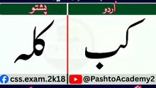 Learn Pashto in Urdu | Lesson # 54