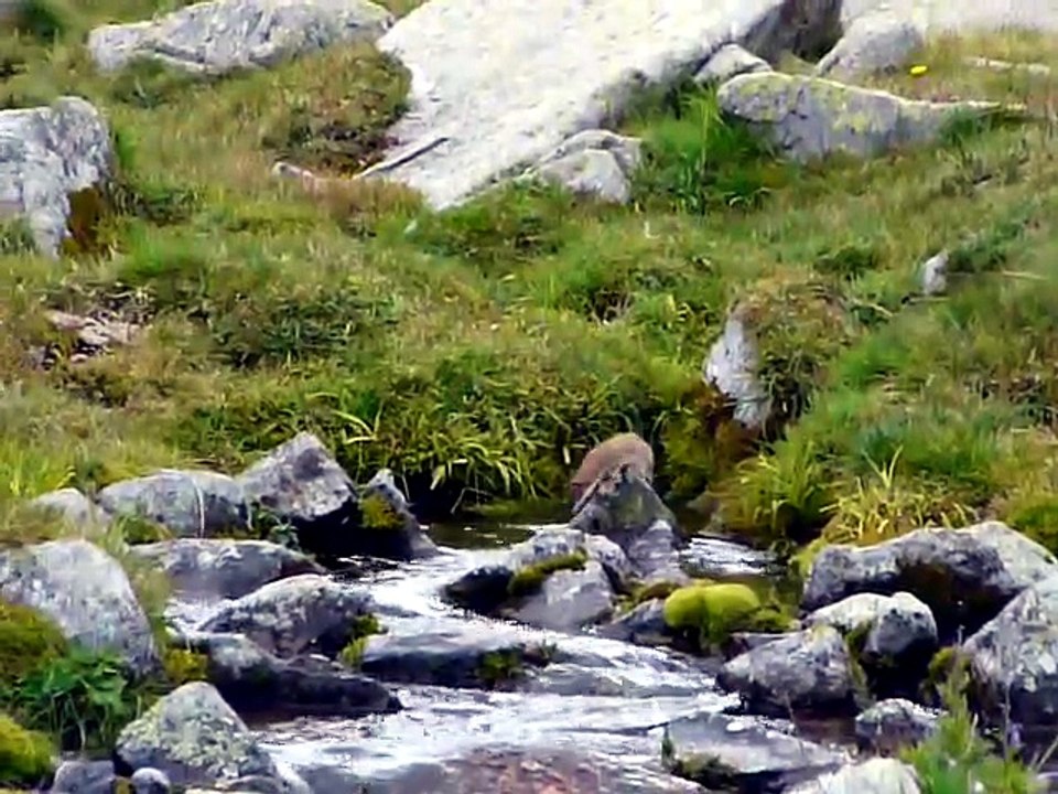 Hermine 11sept2008