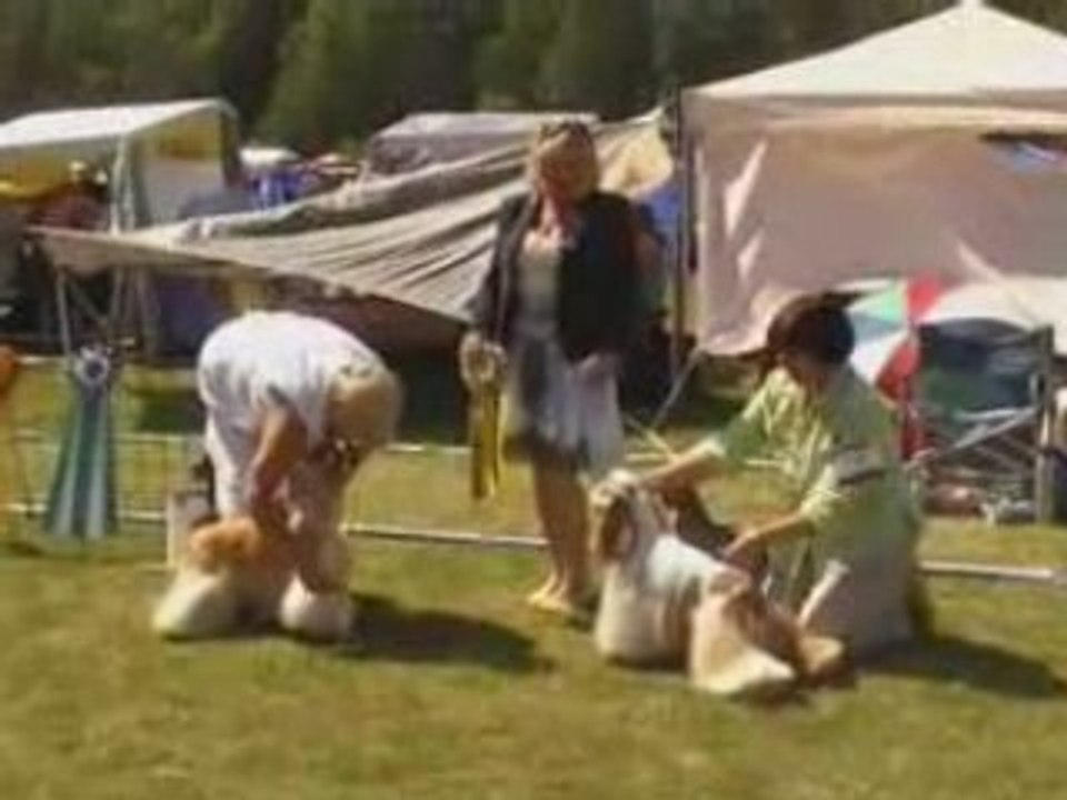 Club Show 4.07.2008 part 5 Sweden