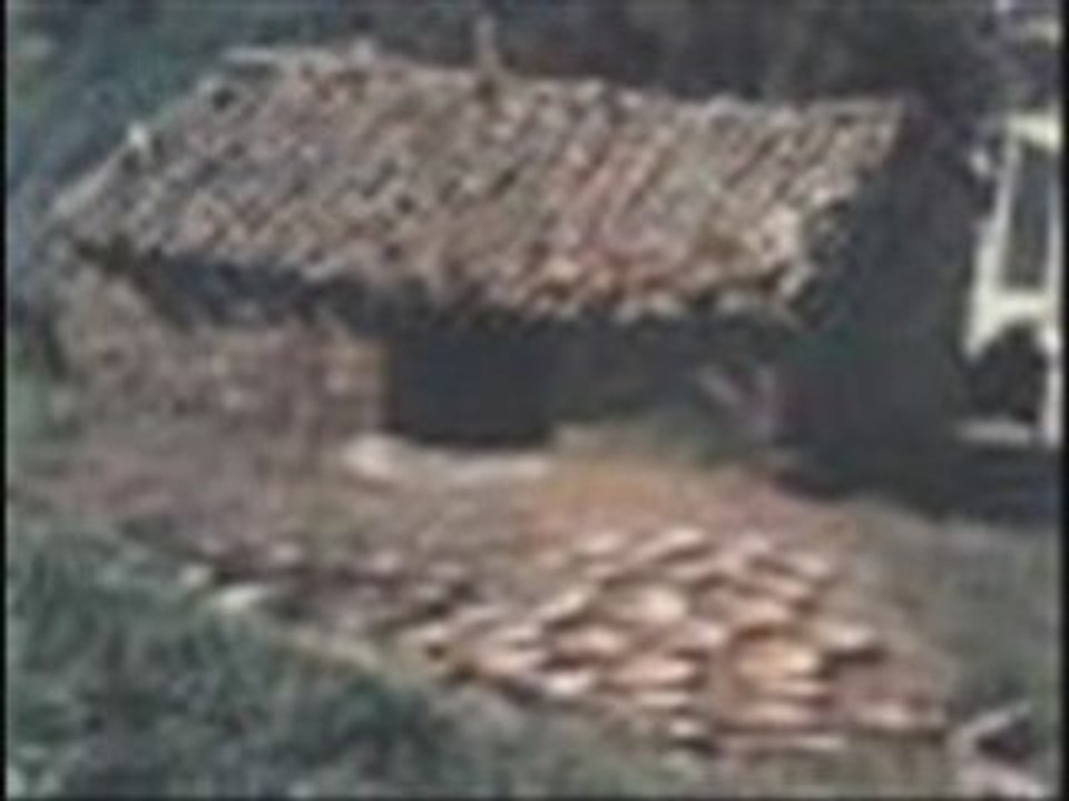 Takfarinas- way thalha- nouvelle version