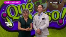 Vivalavi Mx - 05 de agosto del 2026