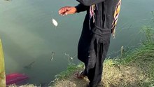 Fishing samll