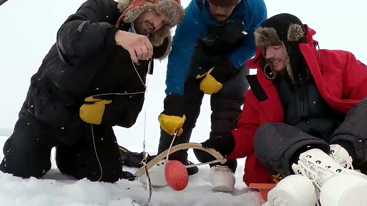 Surviving the Arctic: 7 Days of Extreme Cold