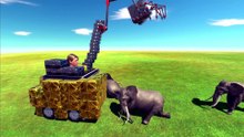 Elephant vs. Crane Truck