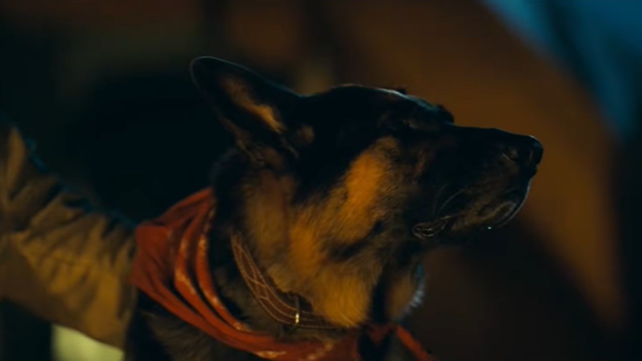 Coração Selvagem Trailer Legendado
