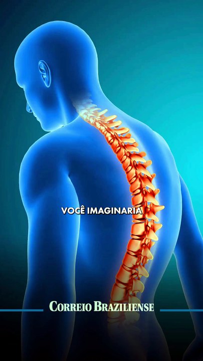 Células do nariz ajudam a recuperar movimentos em estudo contra lesões na medula