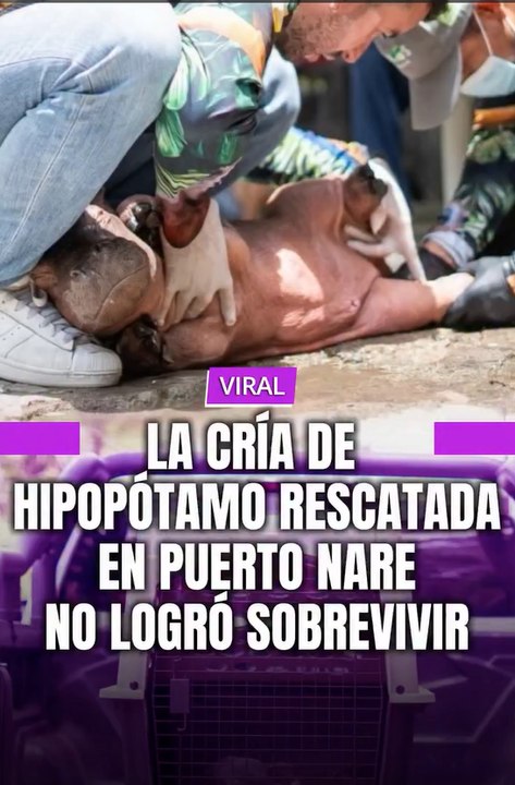 Una triste noticia para la fauna de la región.