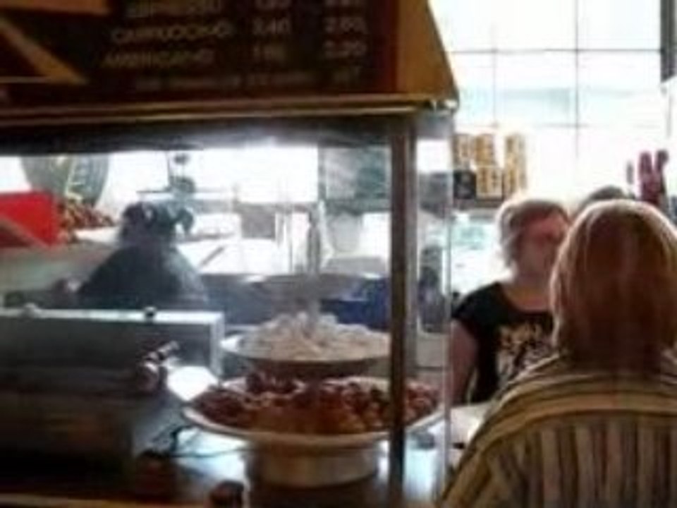 GADGET GRRL GLIMPSES # 9