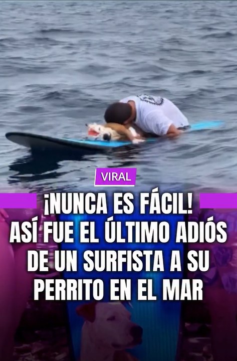 Una historia de amor y lealtad que rompe corazones en las olas.