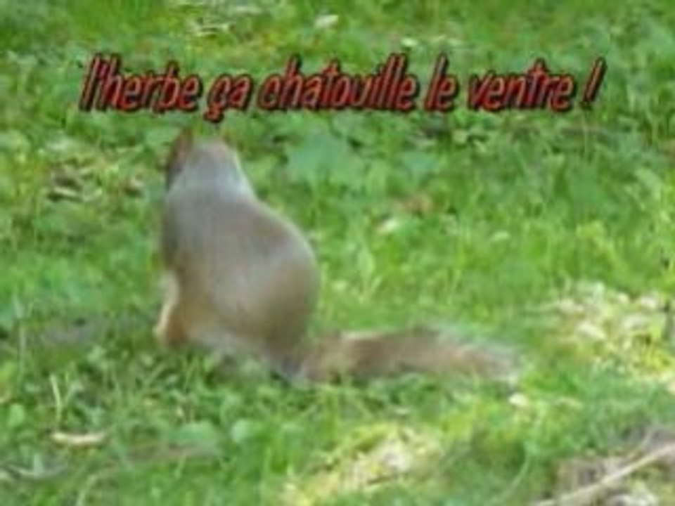 Bois coulonges 12 juillet montage