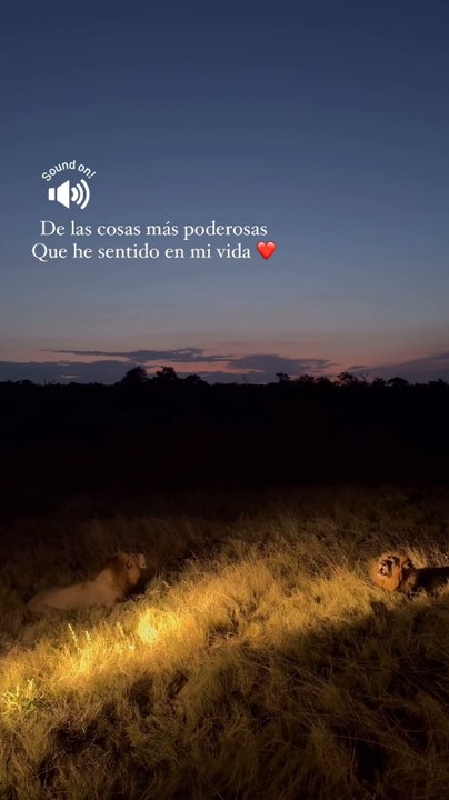 Ana Brenda Contreras comparte su encuentro con...