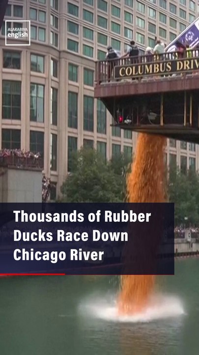 Thousands of Rubber Ducks Race Down Chicago River