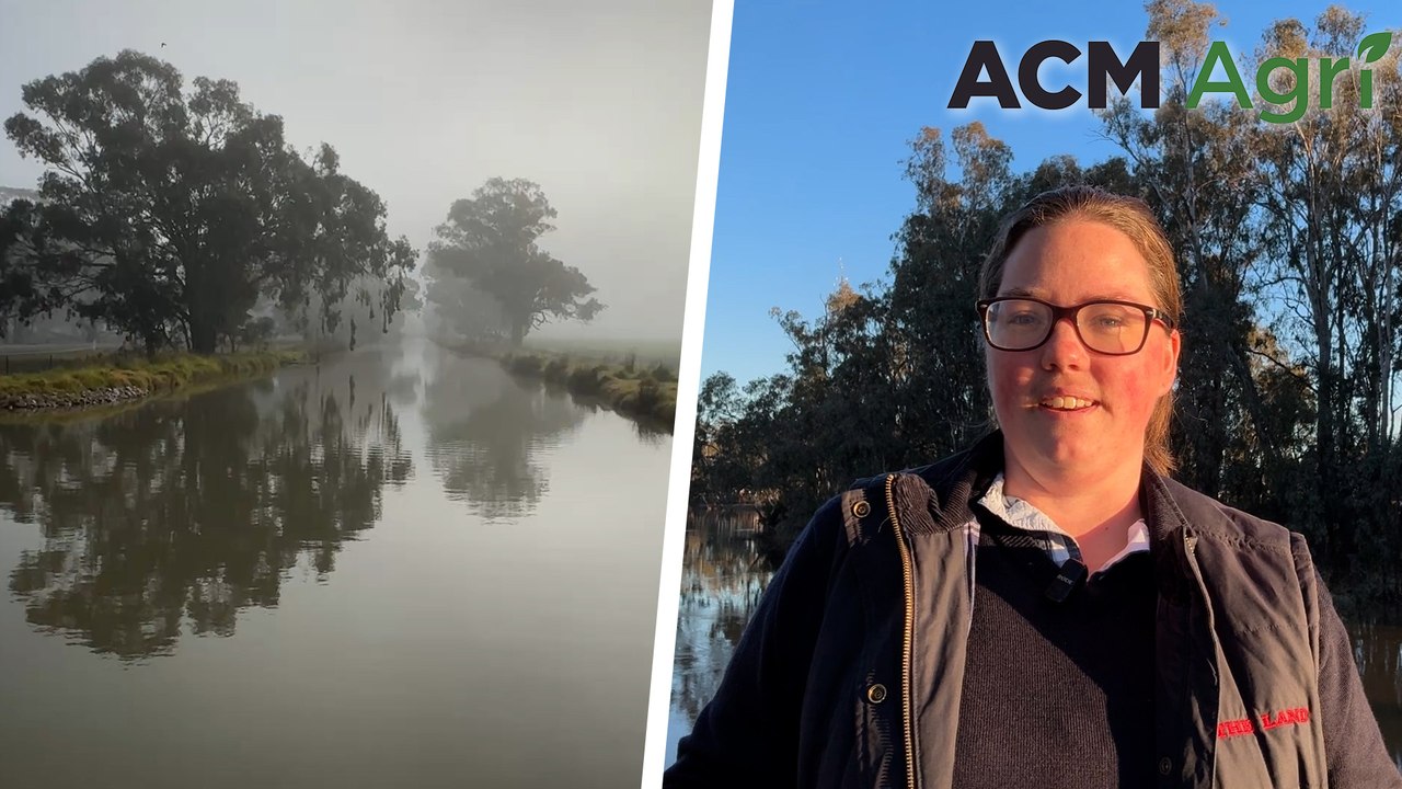 Murray-Darling Basin Plan review underway