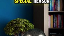 Winning the battle 1
