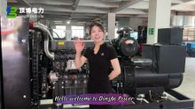 Silent and container options on request. Shangchai E Series industrial diesel gensets