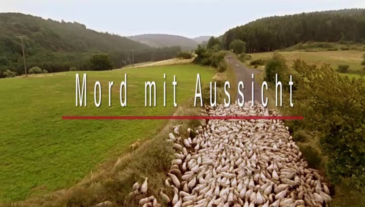 Mord mit Aussicht -37- Sankt Kennedy