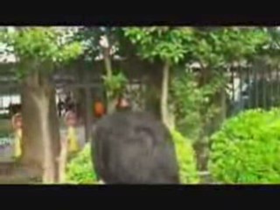 在日韓国人はどういう人たちでしょうか