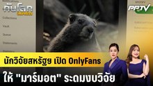 นักวิจัยสหรัฐฯ เปิด OnlyFans ให้ "มาร์มอต" ระดมงบวิจัย|ทันโลก EXPRESS | 7 ส.ค. 69