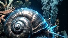 🐚⚙️🌋 A snail… wearing real metal armor.