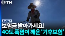 "이런 보험이 있어?”...40도 폭염이 깨운 ‘기후보험' [앵커리포트] / YTN