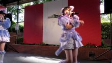にゃあにゃあ（その２）　#ラブステFREE～ハイハイタウン編～　上本町ハイハイタウン　２０２６年６月１３日