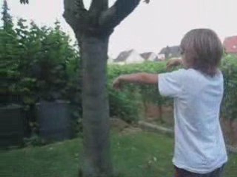 La vie de l'homme