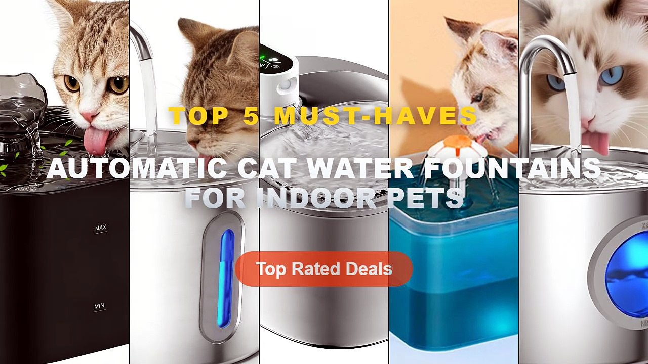 Top 5 Best Automatic Cat Water Fountains For Indoor Pets (Must Have!) - Cat Water Fountain 2.2L Automatic with Multiple ...