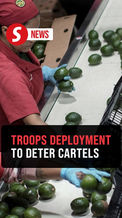 Mexico deploys 1,500 troops to avocado hub in bid to resume US exports